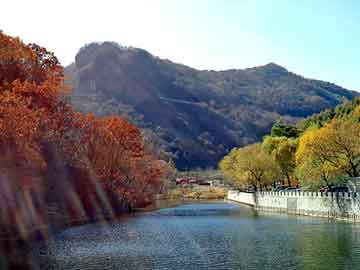 新澳天天彩免费资料大全查询，塑胶市场